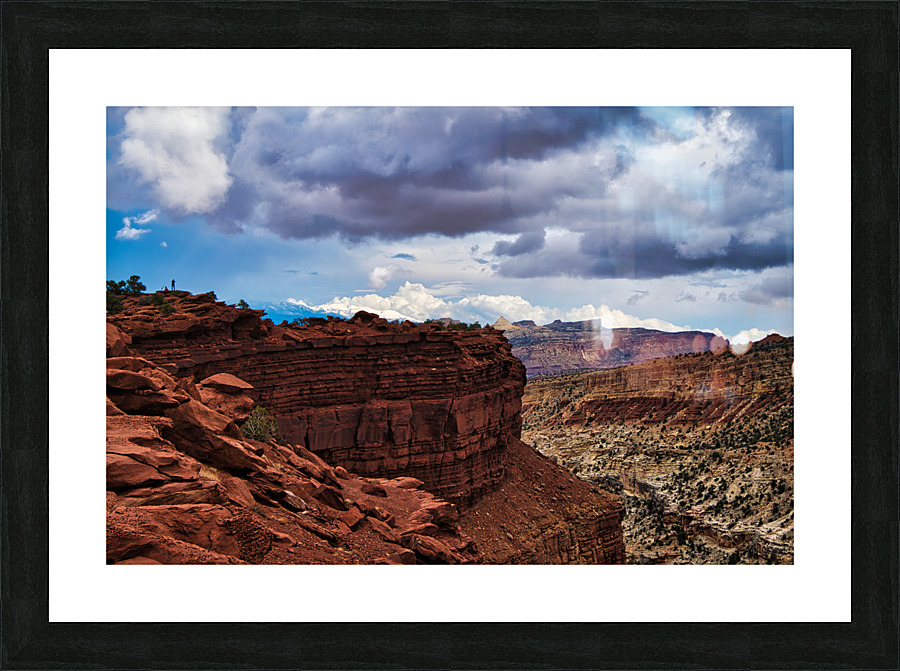 capreef49 Picture Frame print