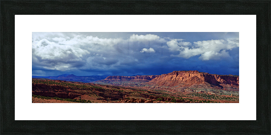 capreef40  Picture Frame print