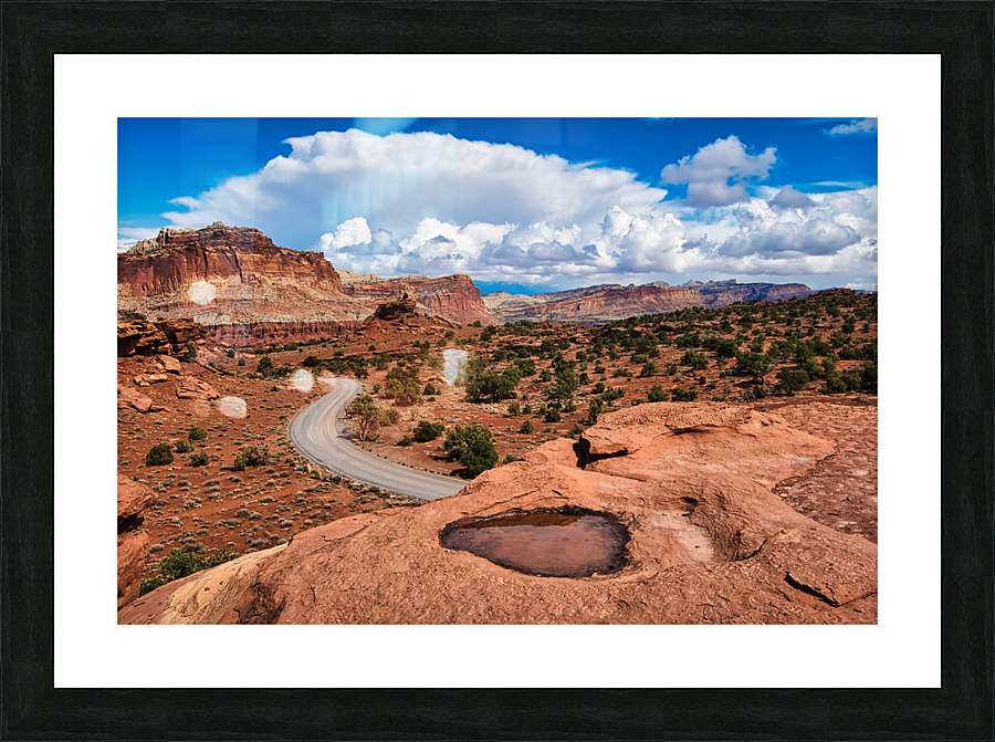 capreef33 Picture Frame print