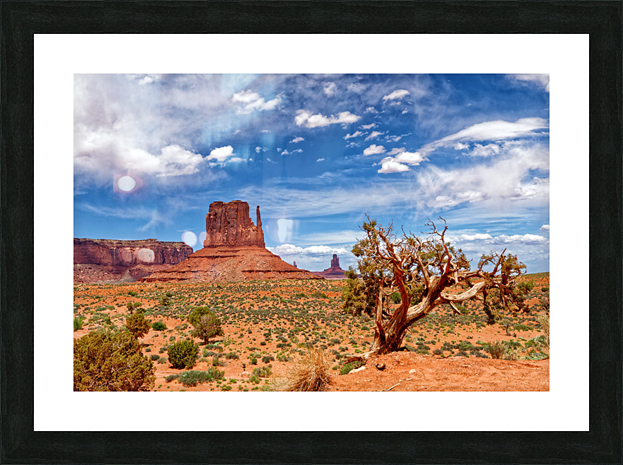 Monument5 Picture Frame print