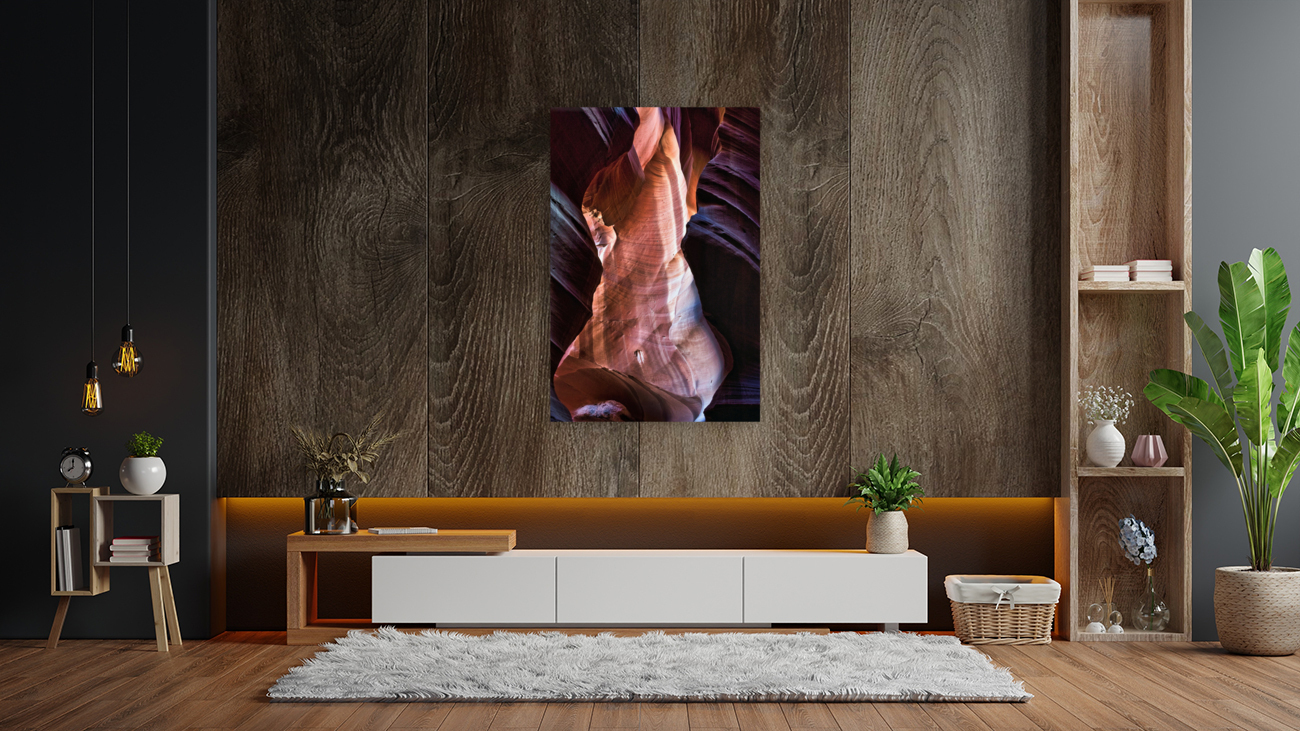 antelope24 Reproduction