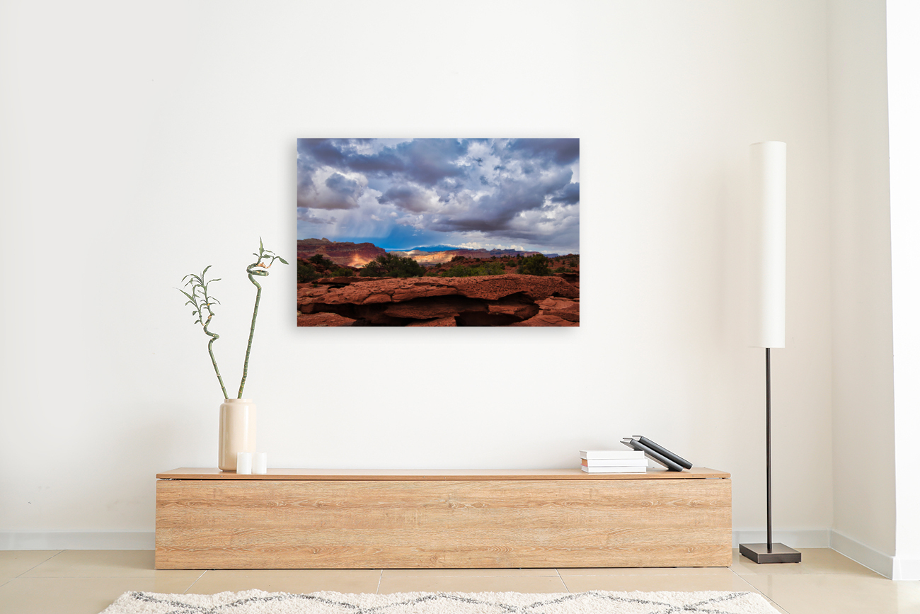 capreef52 Reproduction