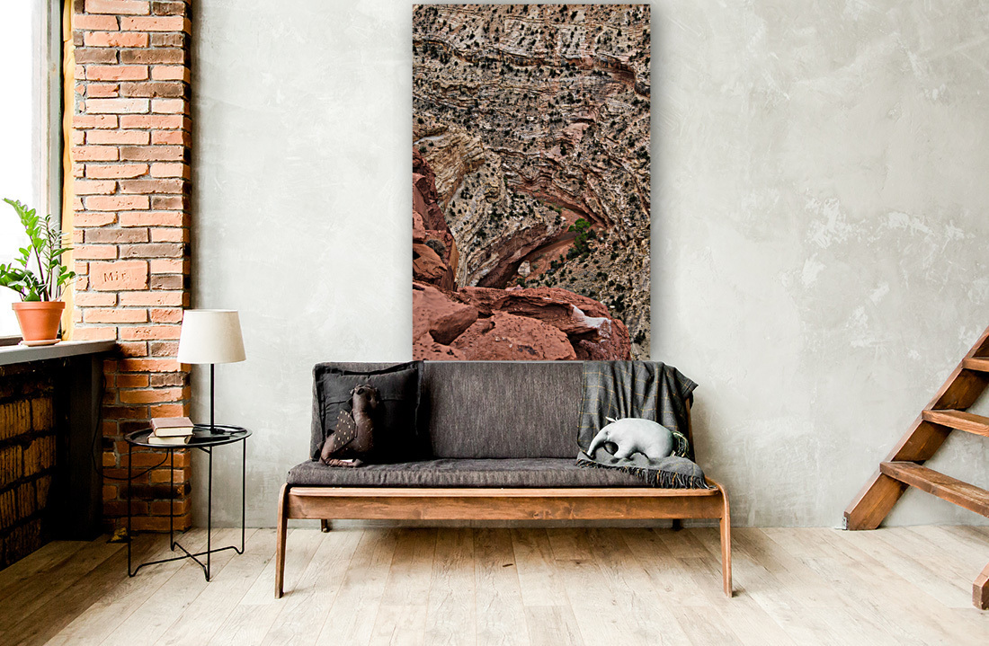 capreef48 Reproduction