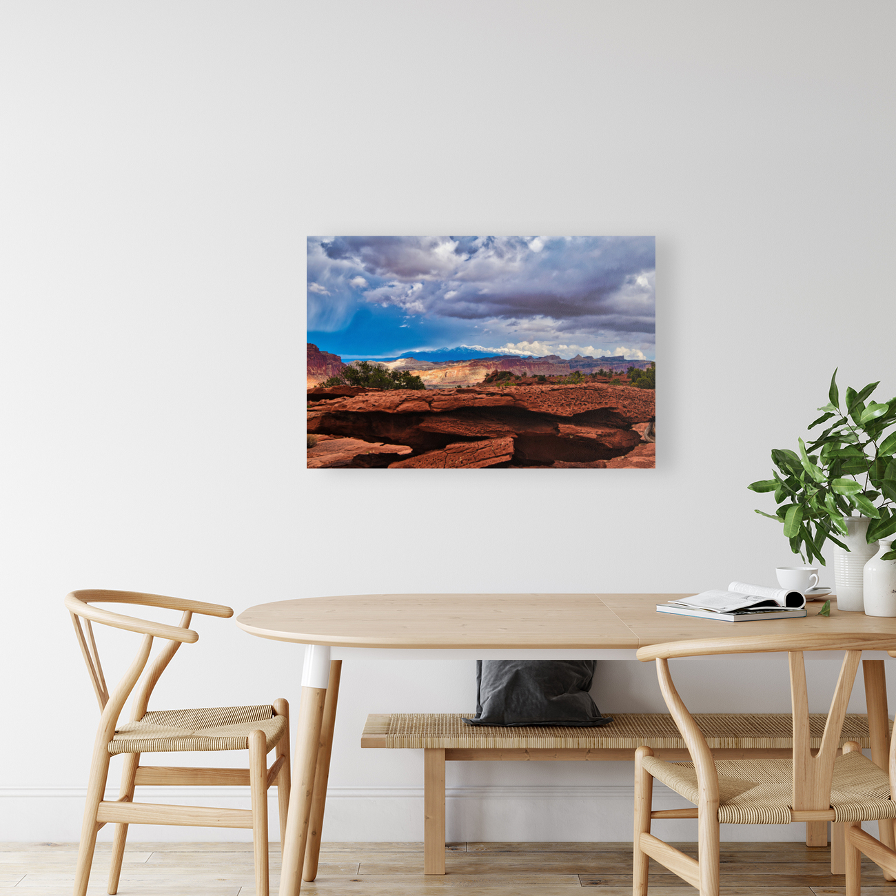 capreef51 Reproduction