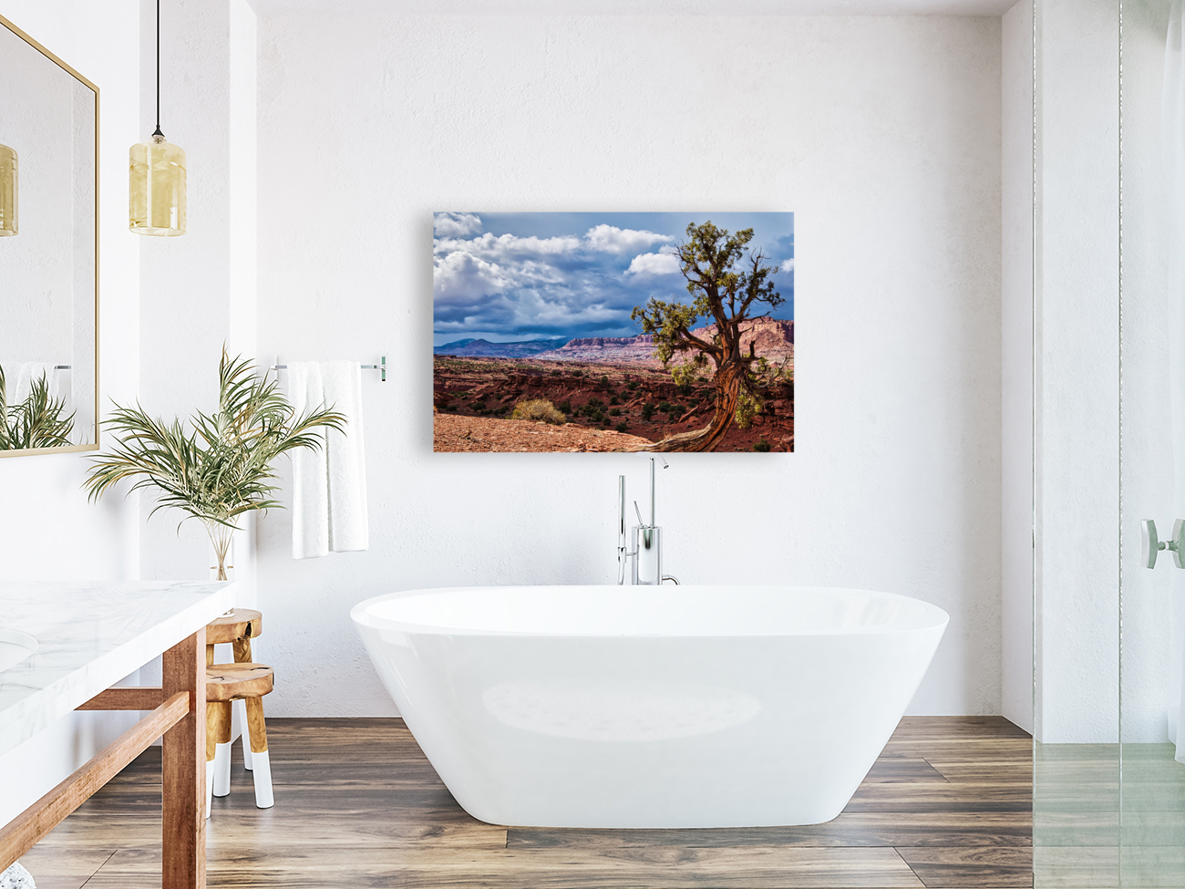 capreef43 Reproduction