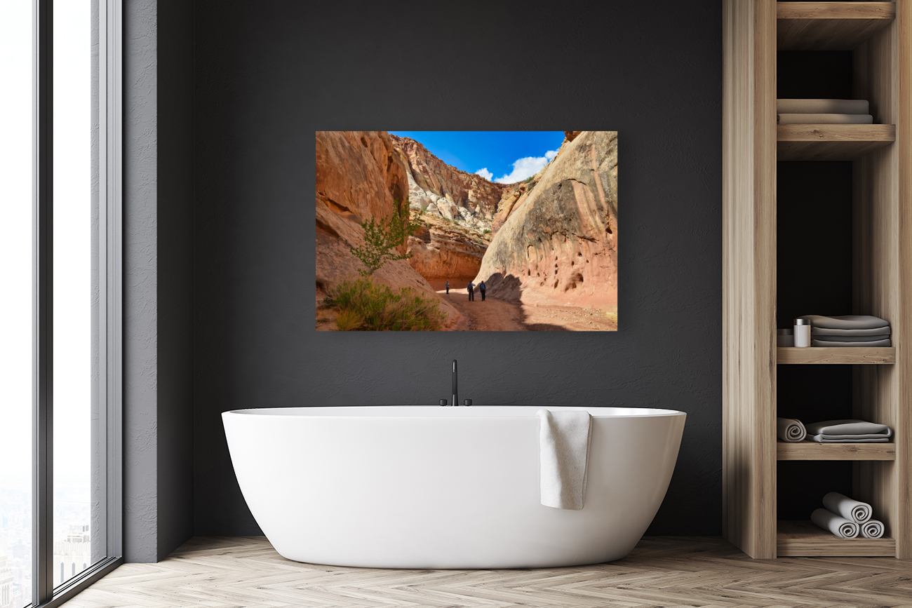 Grand Wash Reproduction