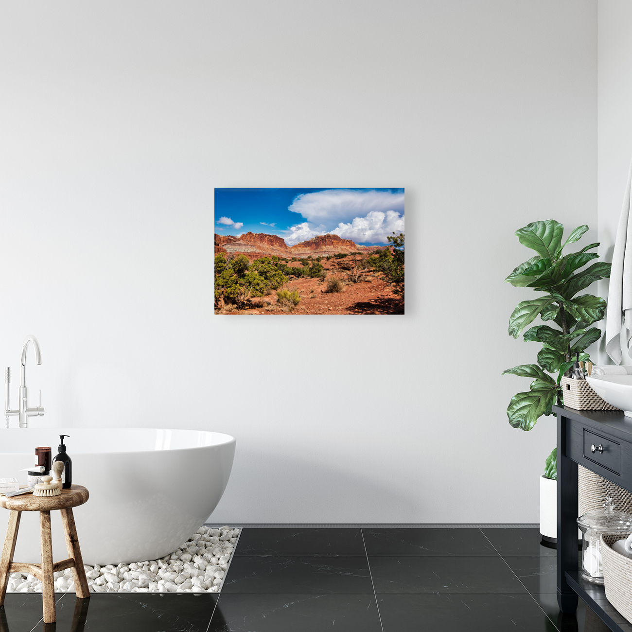 capreef47 Reproduction