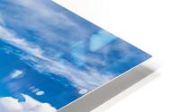 capreef35 HD Metal print
