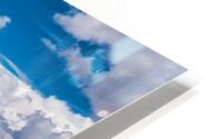 capreef34 HD Metal print