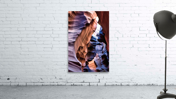 antelope08 Wall Preview