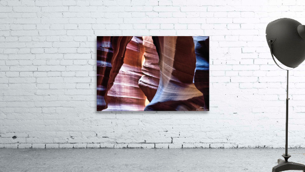 antelope06 Wall Preview