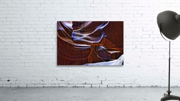 antelope01 Wall Preview