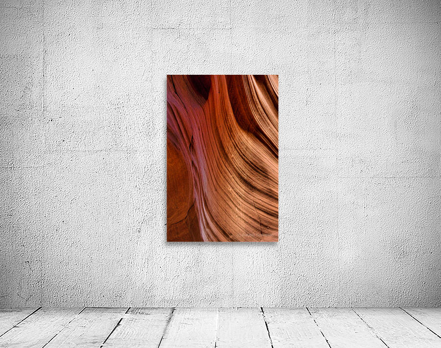 antelope13 Wall Preview