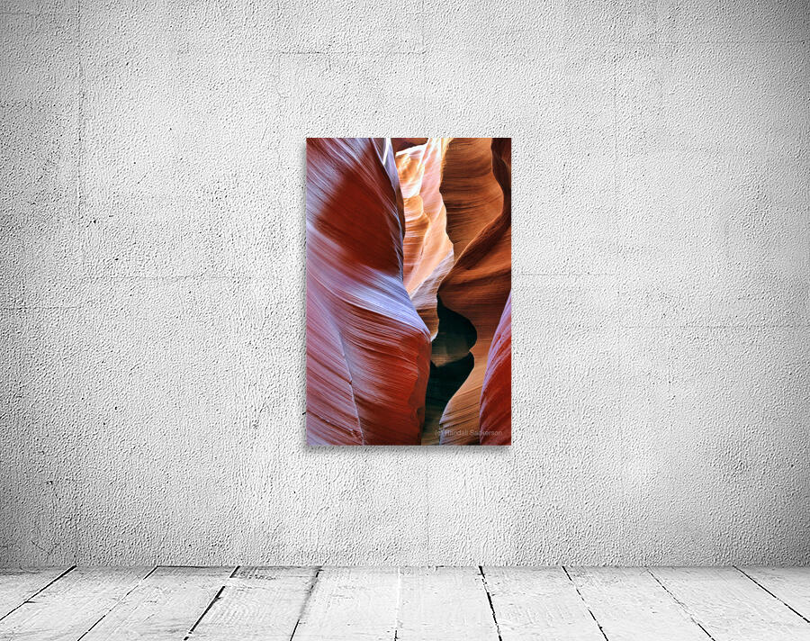 antelope12 Wall Preview