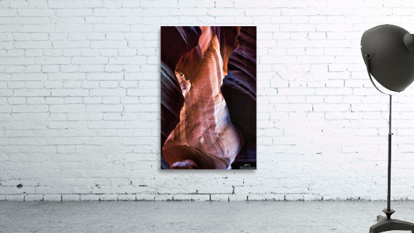 antelope24 Wall Preview