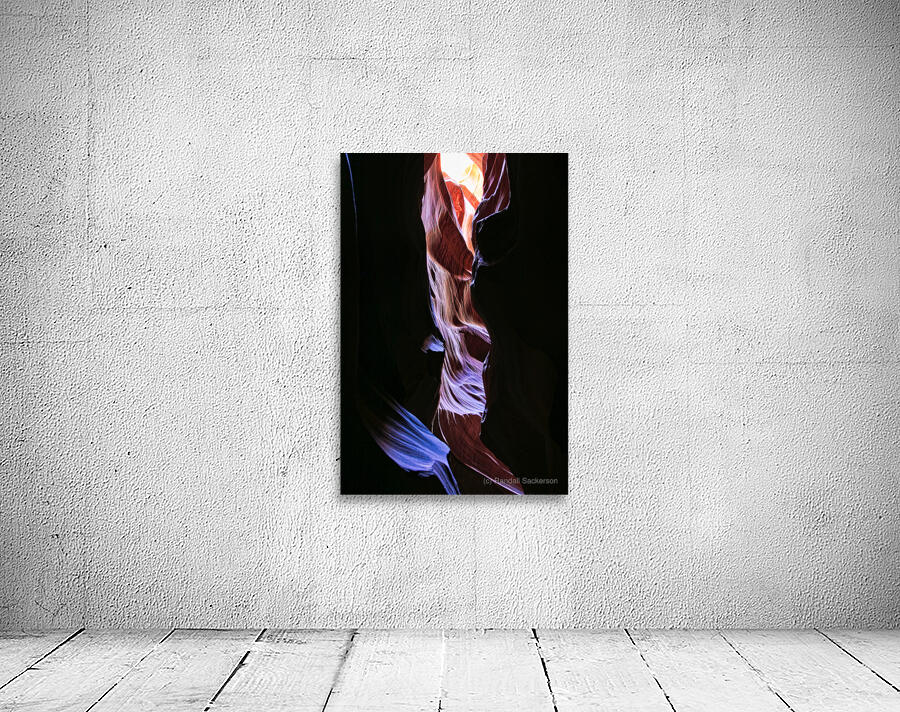 antelope11 Wall Preview