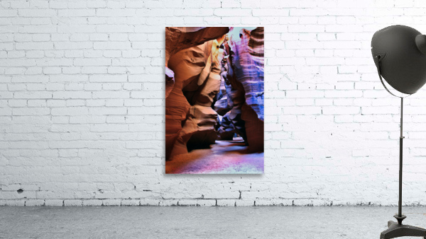 antelope19 Wall Preview