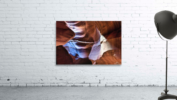 antelope03 Wall Preview