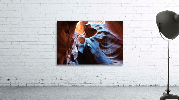 antelope02 Wall Preview