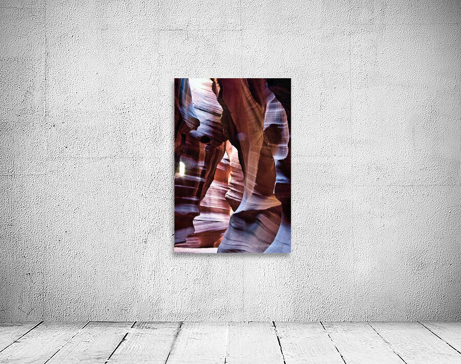 antelope05 Wall Preview