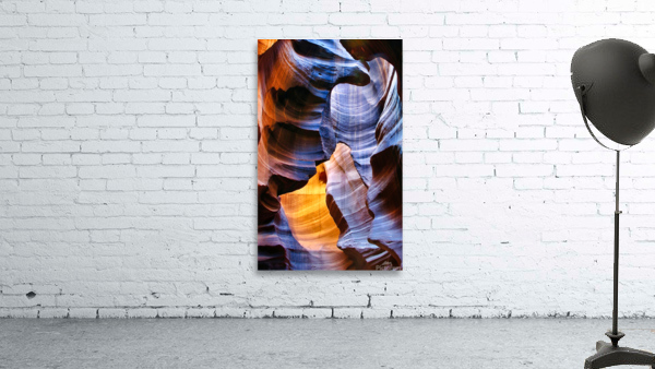 antelope23 Wall Preview