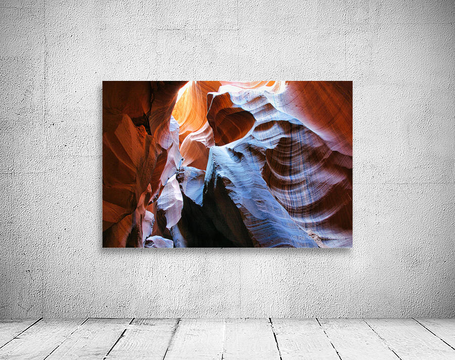 antelope16 Wall Preview