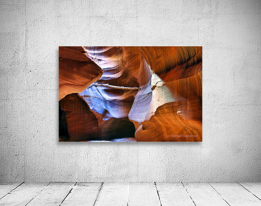 antelope18 Wall Preview