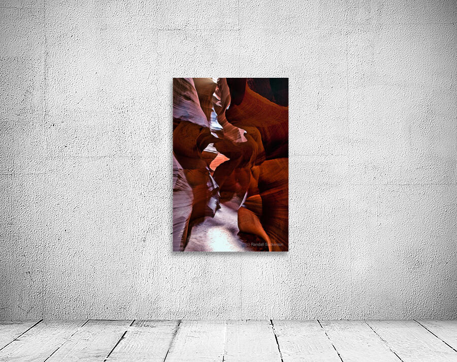 antelope10 Wall Preview