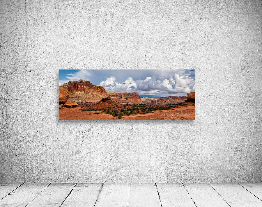 capreef36 Wall Preview