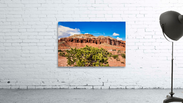 capreef46 Wall Preview