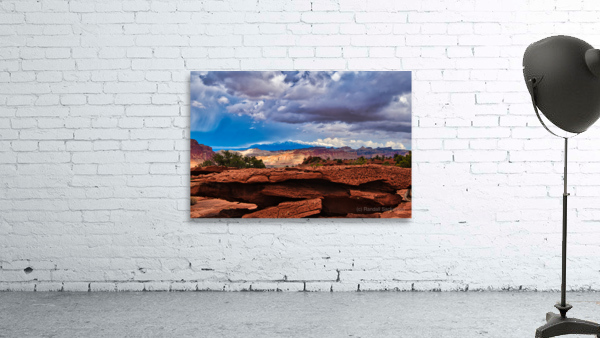 capreef51 Wall Preview