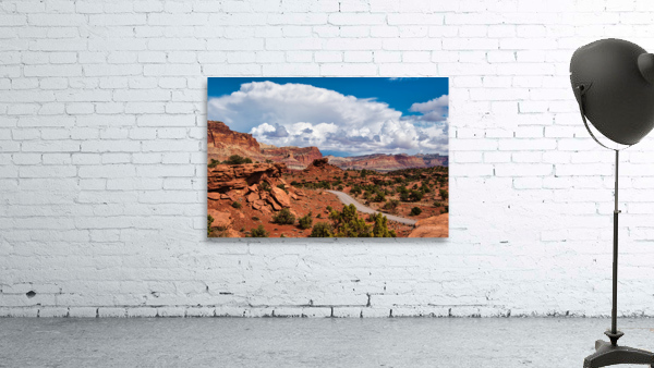 capreef31 Wall Preview