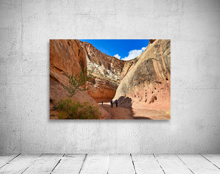 Grand Wash Wall Preview