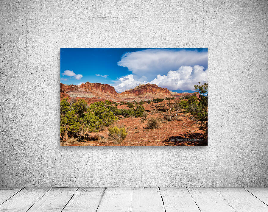 capreef47 Wall Preview