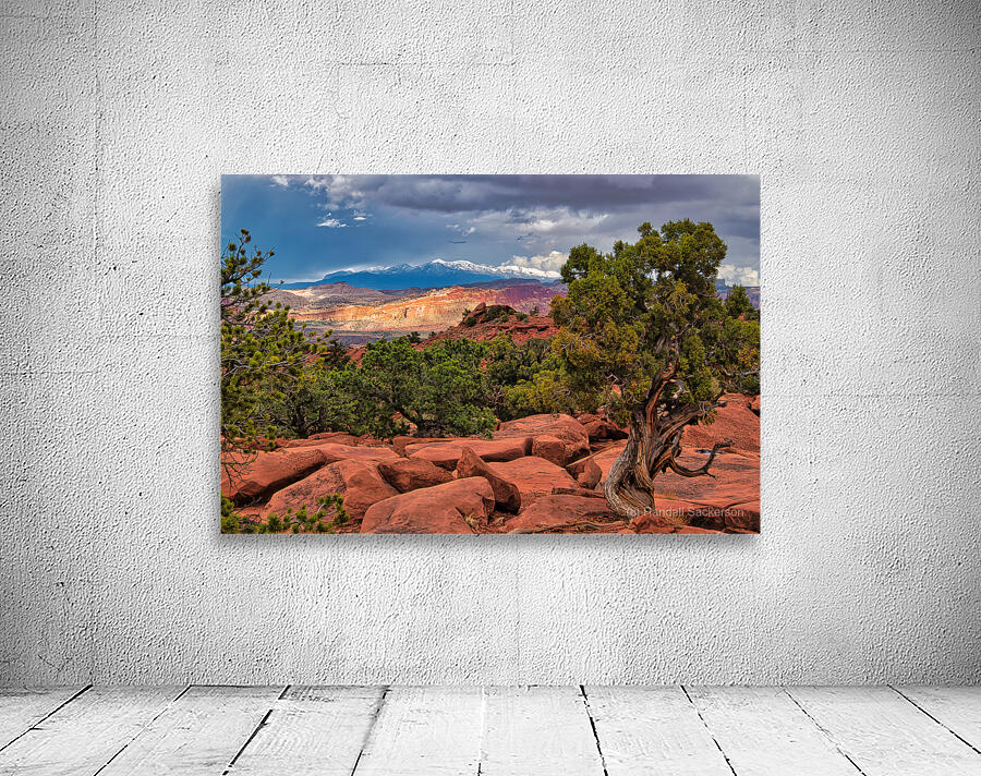 capreef53 Wall Preview