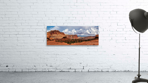 capreef36  Wall Preview