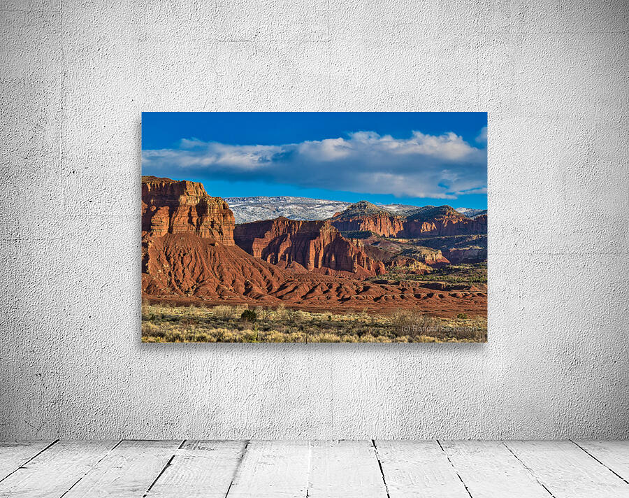 capreef54 Wall Preview