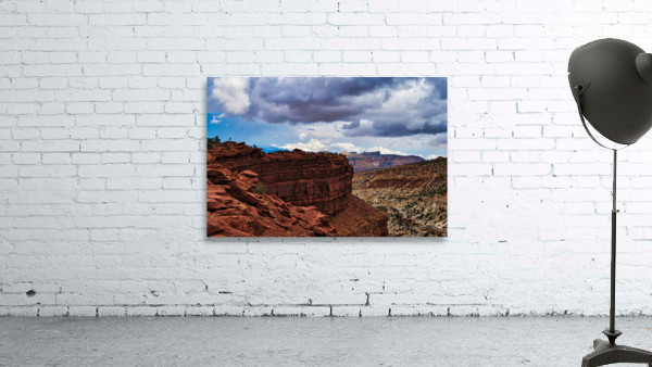 capreef49 Wall Preview