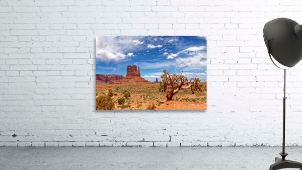 Monument5 Wall Preview