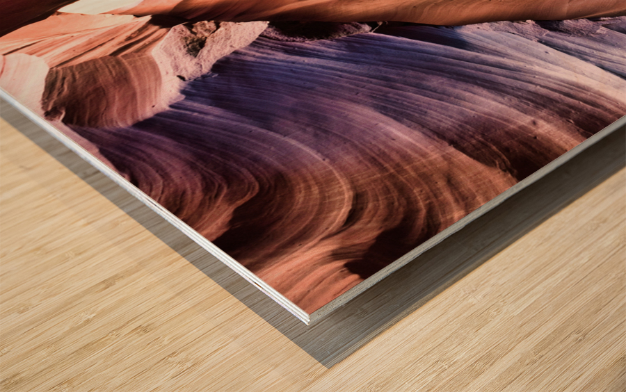 antelope08 Wood print