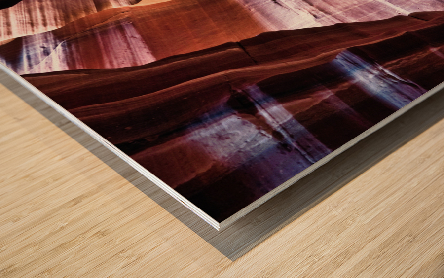 antelope06 Wood print