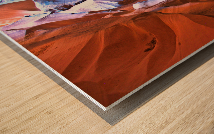 antelope17 Wood print