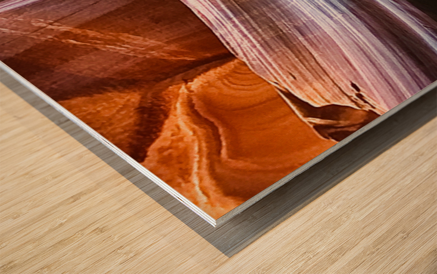 antelope14 Wood print