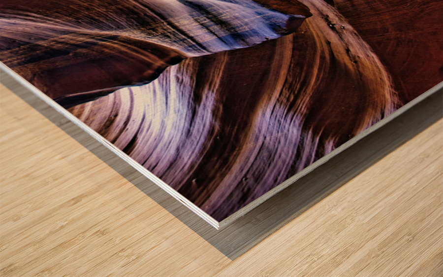 antelope01 Wood print