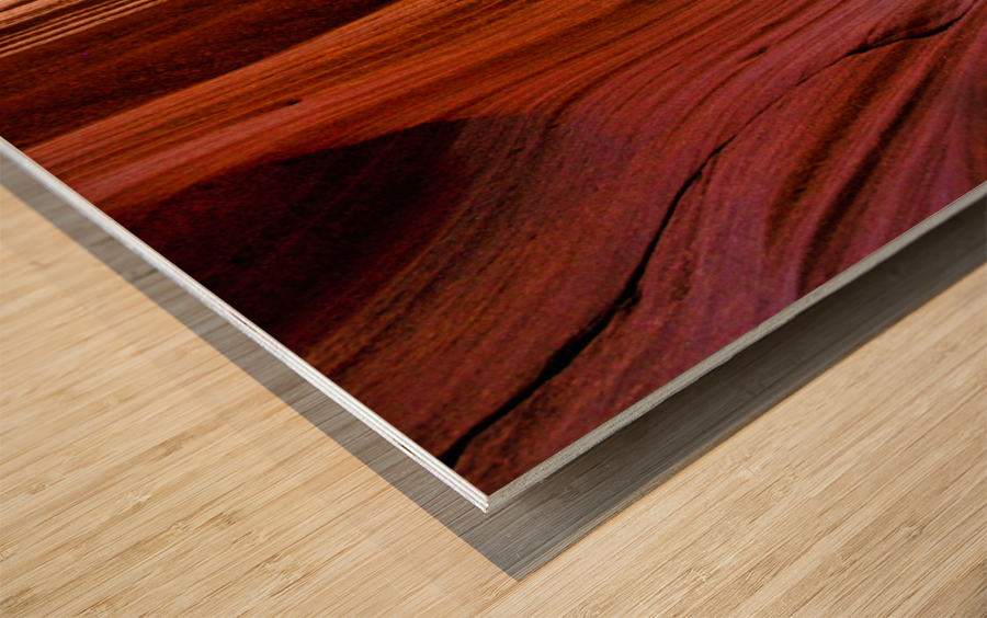 antelope13 Wood print