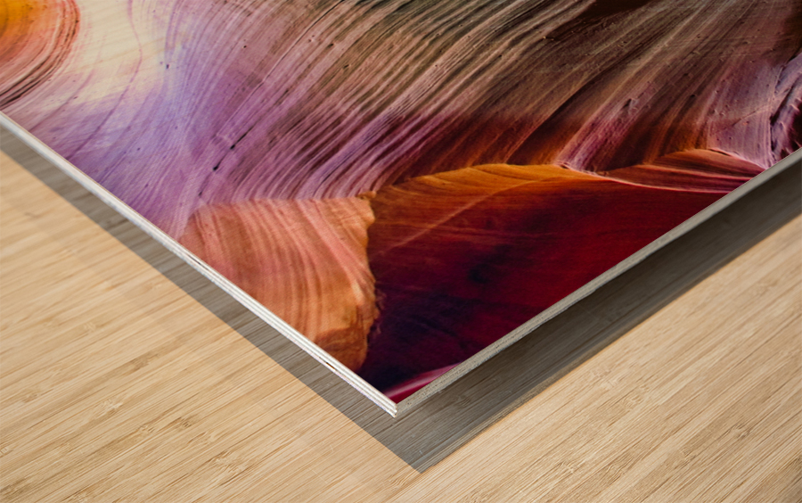 antelope09 Impression sur bois