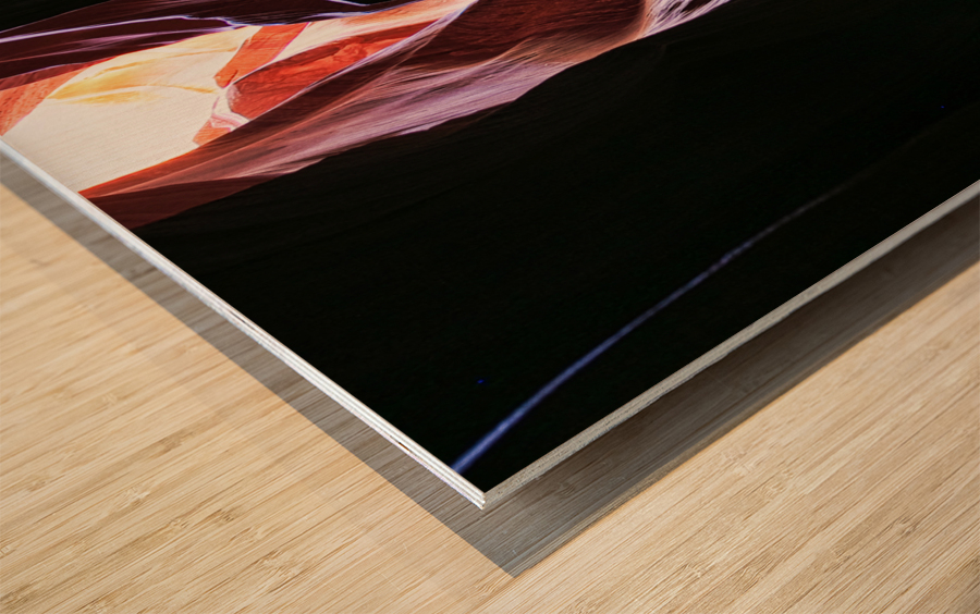 antelope11 Wood print