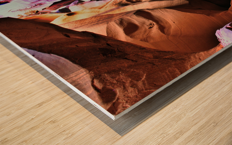 antelope19 Wood print