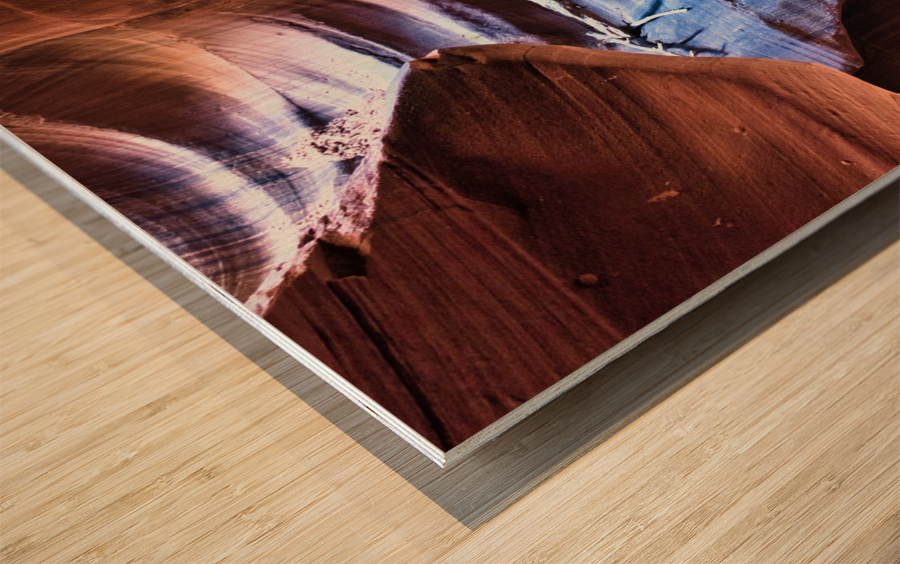 antelope03 Wood print