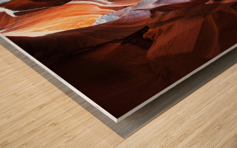 antelope02 Wood print